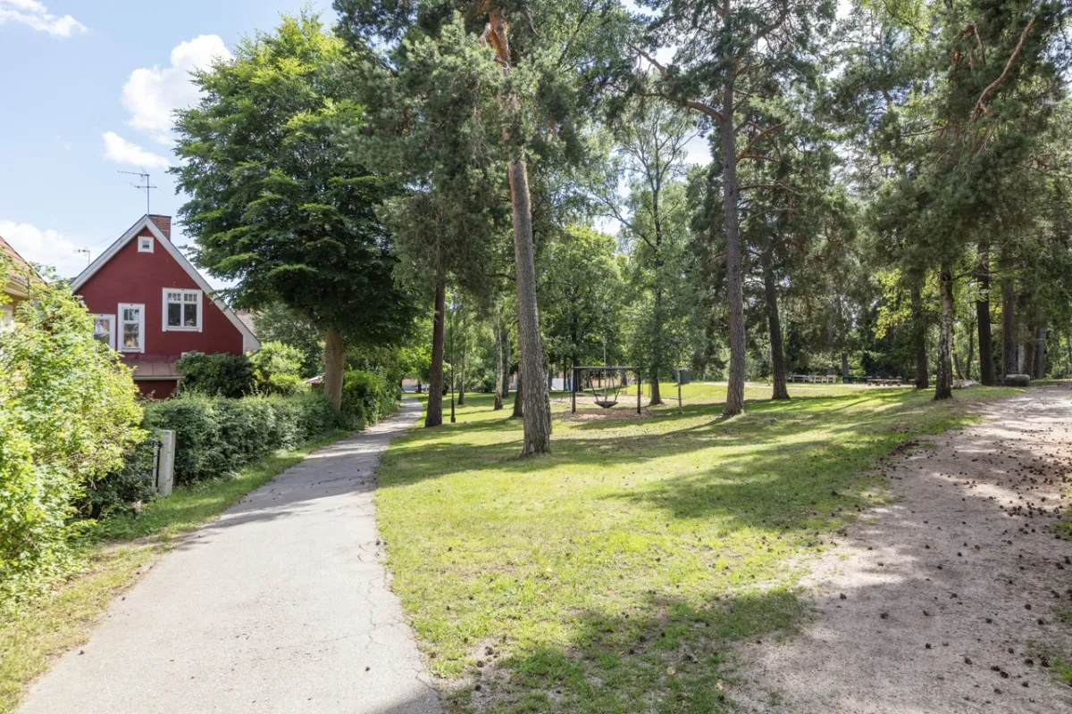 Margaretaparken en sommardag, med en gångväg mellan höga tallar och lövträd och ett rött trähus till vänster.