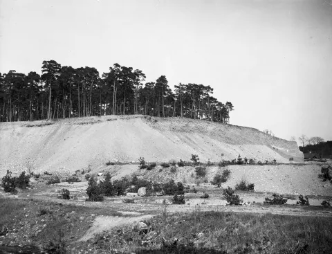 Svartvitt foto av en ås med höga tallar på krönet. Under träden är sluttningen bar och ljus av grus, och nedanför växer låga buskar.