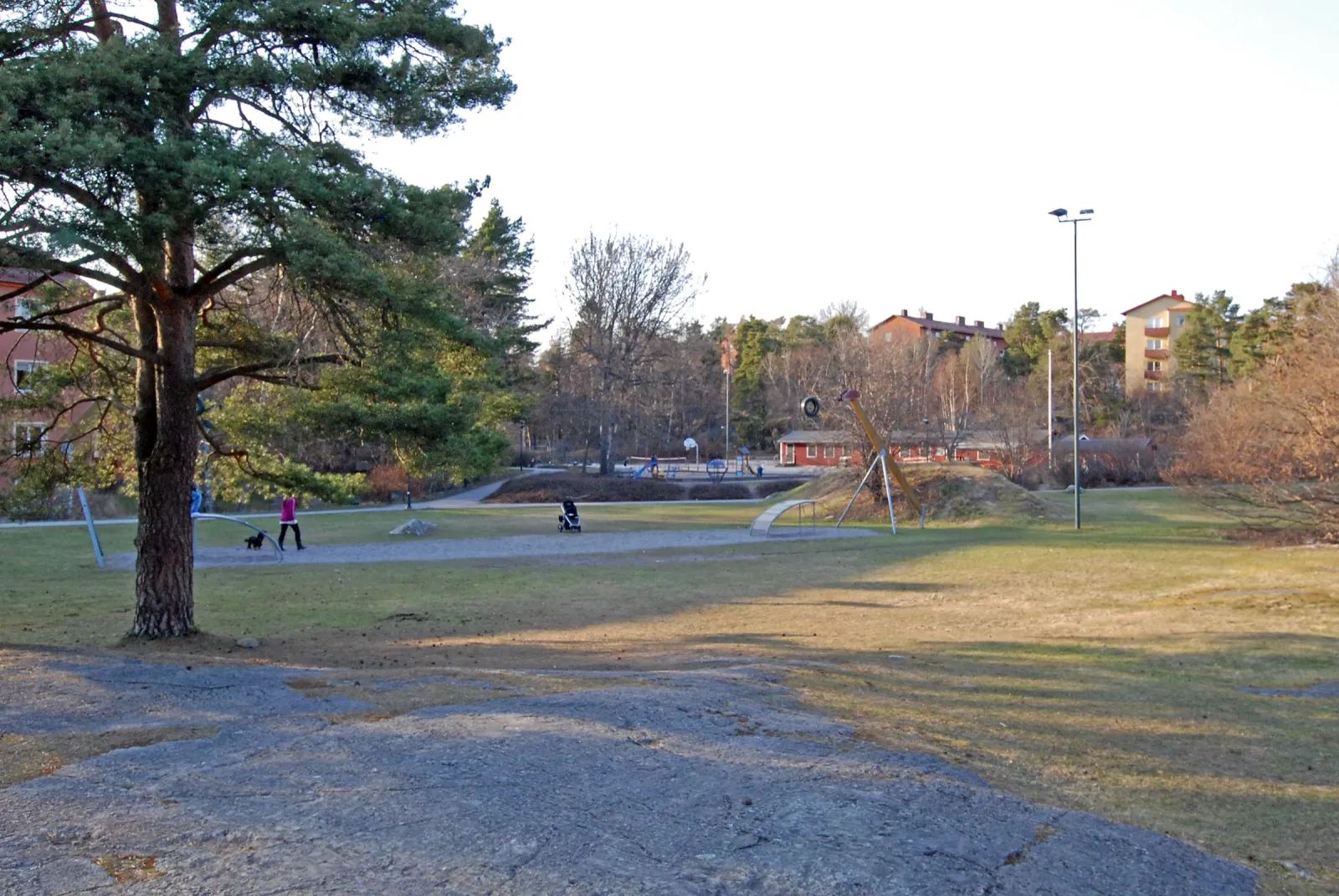 En park med gräsmatta och en stor tall i förgrunden. På en grusgång går en person med en hund, och längre bort står en barnvagn. I bakgrunden finns lekredskap, en basketkorg, låga röda hus och flerbostadshus.