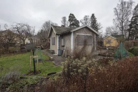 En grå kolonistuga med tegeltak bland vinterkala buskar och fruktträd. Till höger skymtar en gul stuga.